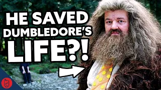 Why Does Dumbledore Trust Hagrid So Much? | Harry Potter Film Theory