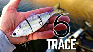 BEST NEW SWIMBAIT? BRAND NEW 6th Sense Trace