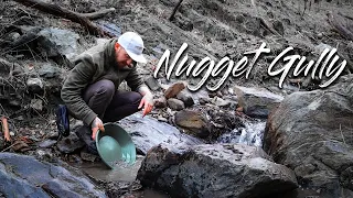 Chunky Gold From Nugget Gully! | We Finally Sluiced It!