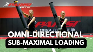 What is Omni-Directional Sub-Maximal Loading?