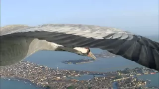 Flying Alongside Common Cranes Over Venice