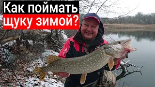 Как поймать щуку зимой на спиннинг с берега? Тест Crazy Fish Perfect jig 76 MLT