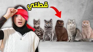 حاولت أتعرف على قطتي و أنا عيوني مغمضة !