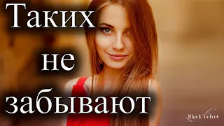 И снова чья-то жизнь к чертям несётся | Автор стихотворения: Покровский Павел