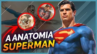 10 FATOS SOBRE A ANATOMIA DO SUPERMAN