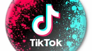 Artush Khachikyan  Aro Varam Tik Tok (Remix)