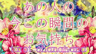 お相手のあなたへの気持ち💕🔮恋愛タロット占い 【今この瞬間のあの人のお気持ち3択💫✨】辛口あり！お相手の真実の気持ちとは✨おはな🌸の心を癒すタロット占い　