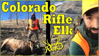 Colorado Elk - 2nd Season Rifle OTC | RGO #318