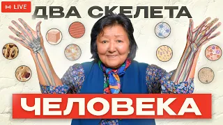 Невидимая основа здоровья