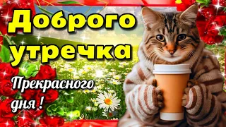 🌷🌞💗Самого доброго весеннего утра!💗Благословенного дня!🌷🌞💗Красивая музыкальная открытка🌷