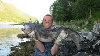 Seewolf 10,5 kg VISTDAL Norge