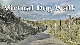 Dog Walk TV : TV for Dogs - Virtual Dog Walk at The Beach