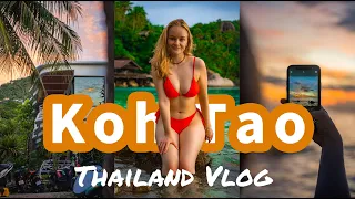 KOH TAO Thailand - 2 Wochen im Paradies😍| Schnorcheln, Thai Massage und wunderschöne Strände | Vlog