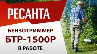 Бензиновый триммер Ресанта БТР-1500Р в работе