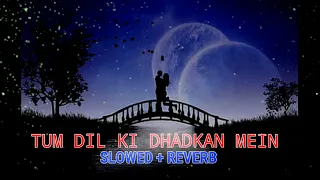 tum dil ki dhadkan mein slowed reverb song lo-fi music