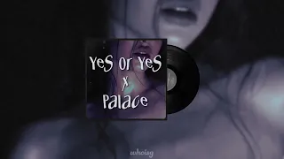 Yes or Yes x Palace (Twice / ADTurnUp)