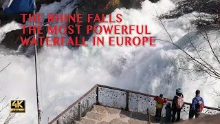 The Rhine Falls Switzerland. The most powerful waterfall in Europe. 4K