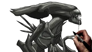 How To Draw Queen Xenomorph | Step By Step | Alien