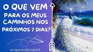 O QUE VEM PARA OS MEUS CAMINHOS NOS PRÓXIMOS 7 DIAS!!!!