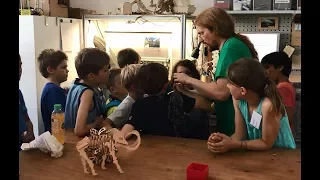 Helle Köpfe in der Informatik