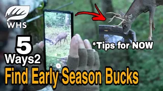 How To Hunt Early Season Bucks