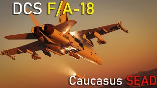 DCS World: F/A-18 Caucasus SEAD