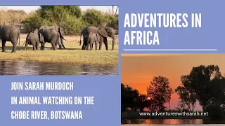 Adventures in Africa: Chobe River Cruise