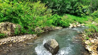 Fall Asleep Faster With The Serene Sounds Of A Mountain Stream In A Green Tropical Forest