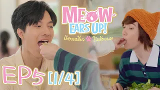 Meow Ears Up น้องเหมียวในห้องผม 好久不见啊喵 | EP5[1/4]