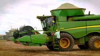 Veja uma supercolheita de soja em Mato Grosso