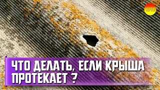 Как устранить течь в крыше? Ремонт шифера своими руками