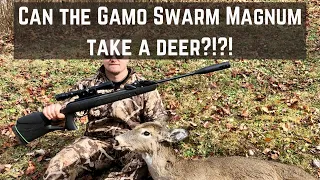 Gamo Swarm Magnum Gen 2 .22 cal. VS Whitetail Deer! Can a break-barrel 22 pellet rifle kill a deer?
