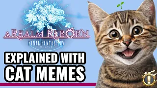 A Realm Reborn Explained with Cat Memes