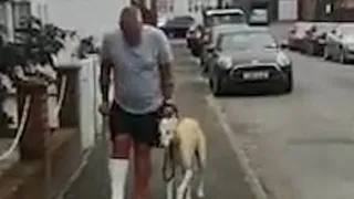 Limping dog copies his injured owner out of sympathy