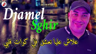Cheb Djamel Sghir 2024 Ch3ar Lasfar الشيخ جمال الصغير ♥️♥️ علاش عليا نعشق فلي كوات ڨلبي