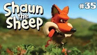 Foxy Laddie | Shaun the Sheep Season 2 | Full Episode