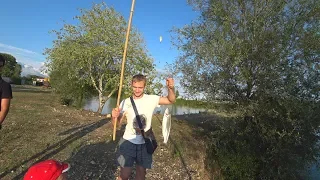 Абхазия. Частное форелевое хозяйство. В подробностях...