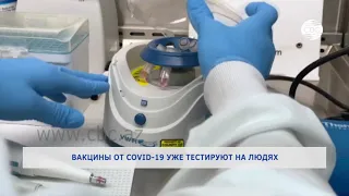 Вакцины от COVID-19 уже тестируют на людях