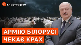 БІЛОРУСЬ ЧЕКАЄ РОЗГРОМ: Лукашенко відчуває кризу росії у війні і хоче домовитися з Заходом / Маломуж