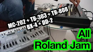 All Roland jam : TB-303, MC-202, TR-808, DD-2, BX-4