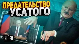 Путина кинули все союзники: бункерного неудачника унижает даже Лукашенко - Гудков