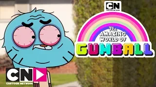 GUMBALL I Yüklemeler I TAM BÖLÜM I Cartoon Network Türkiye