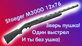 ОБЗОР И ЧИСТКА Ружья Stoeger M3000 12х76 Synthetic 760мм