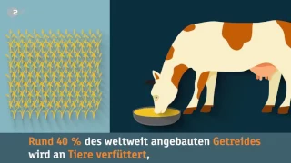 Weltvegantag ZDF Heute