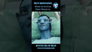 Na’vi Knowledge - When an Avatar wakes up #avatar #avatar2 #jakesully