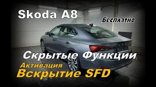 Skoda 2022 Активация Скрытых Функций. Инструкция Бесплатно(2022)