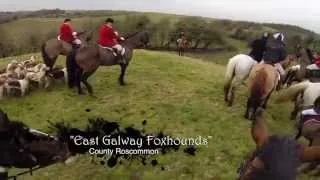 Equestrian Foxhunting in Ireland 2014