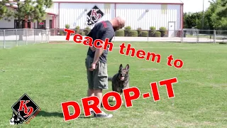Teach your dog to "drop-it" in ONE easy step!