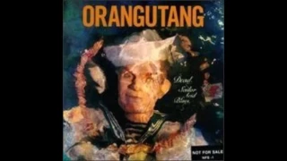 Orangutang - Surf Continental