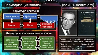 09. Эволюция психики 1 (ПС1А22) (7 ноября 2022)